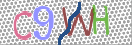 CAPTCHA vaizdas