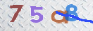 CAPTCHA vaizdas