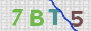 CAPTCHA vaizdas
