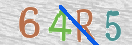 CAPTCHA vaizdas