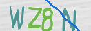 CAPTCHA vaizdas