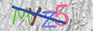 CAPTCHA vaizdas