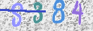 CAPTCHA vaizdas